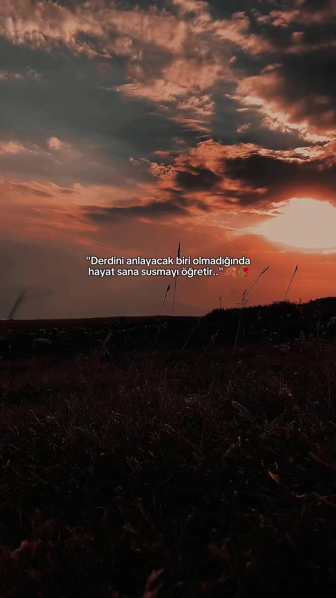 @🇹🇷͜͜͡͡✯₴ØⱠł̇₴₮฿ɆɎ🇹🇷͜͜͡͡✯