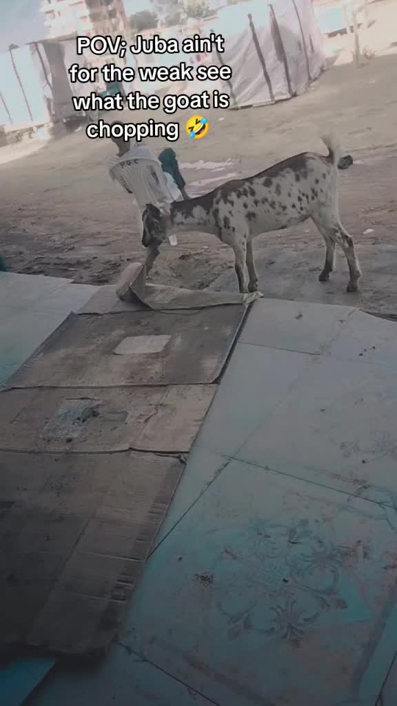 @إمانويل