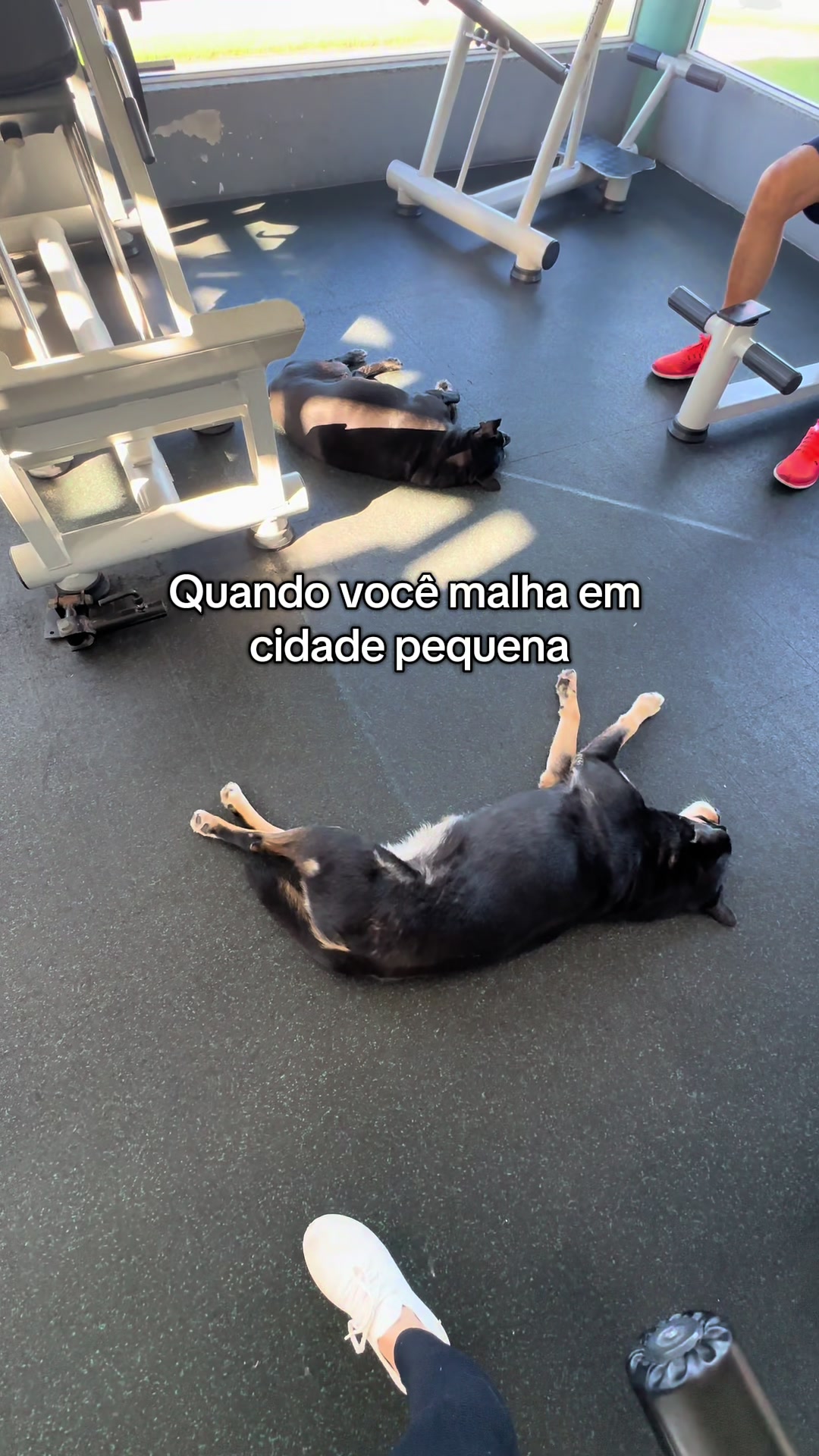 @Gabi Lima