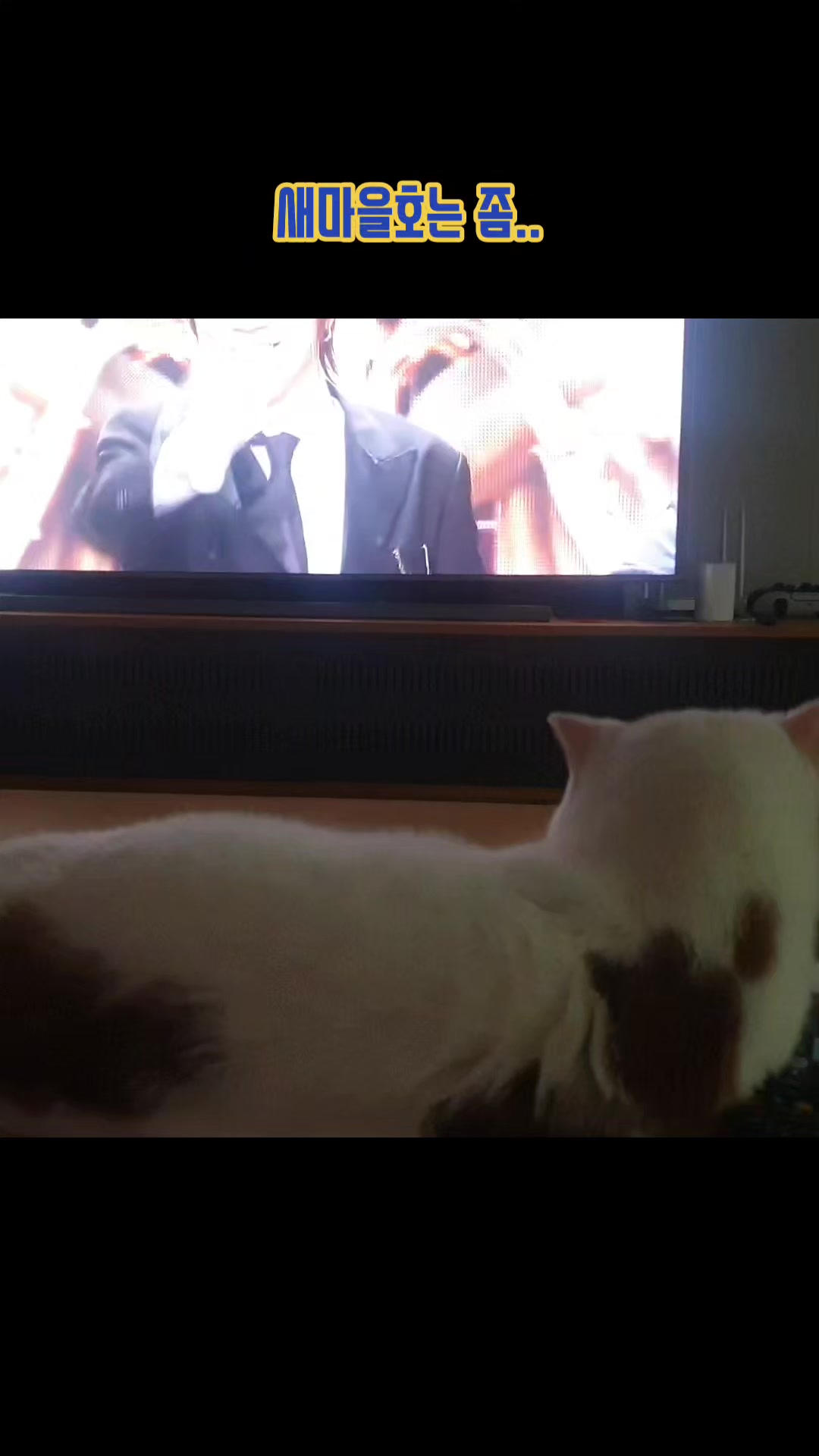 @이폭간