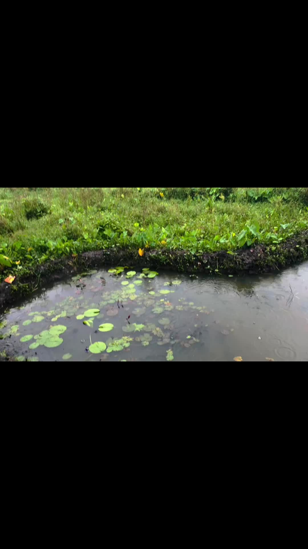 @Kavi123