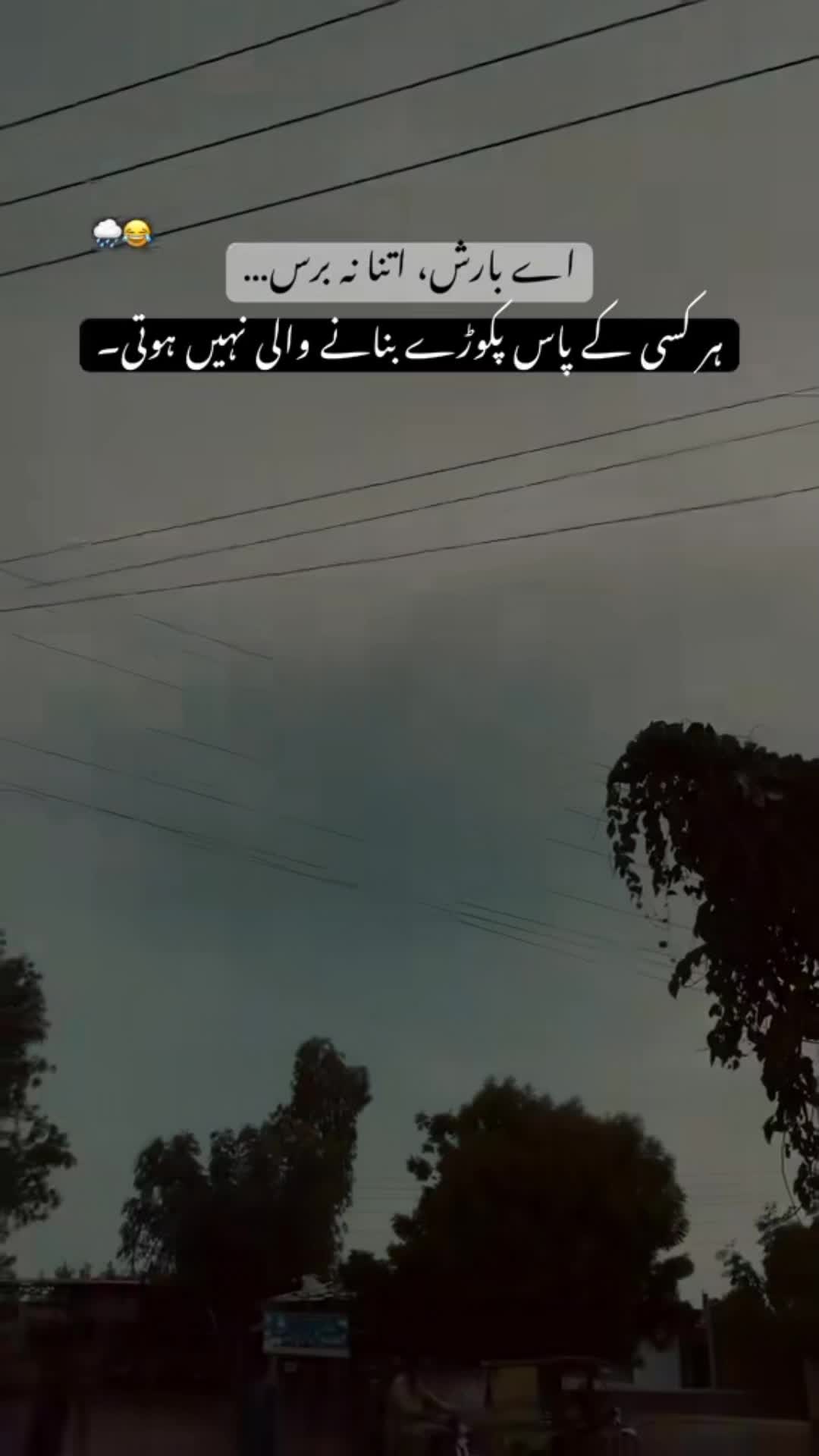@🐯متین صاحب 786🦁