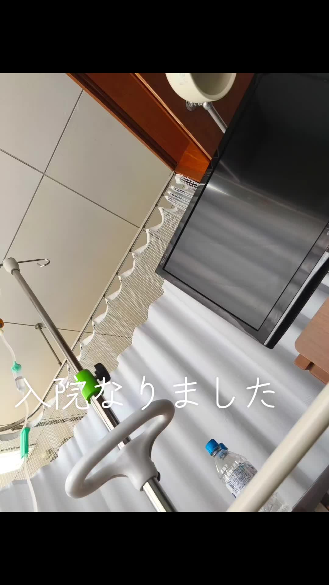 @🌹雪ウサギ🌹