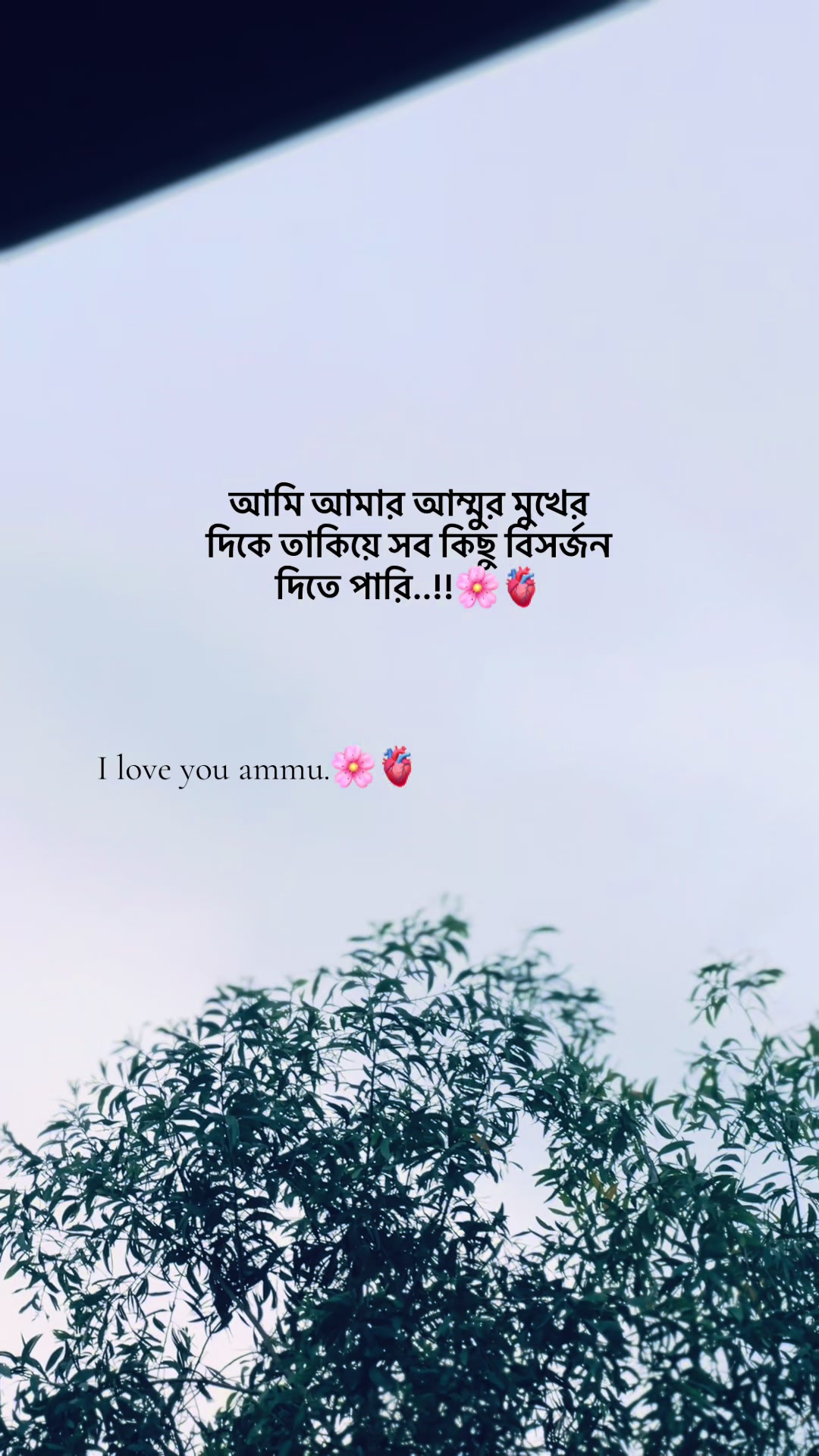@-ABIR'📓🖋️