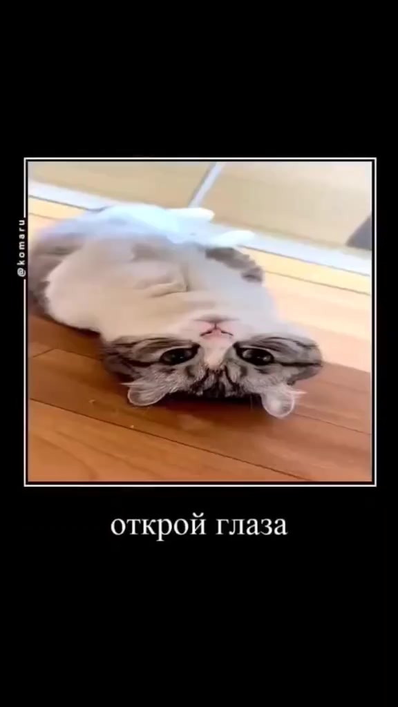 @KomaruSalt_AB