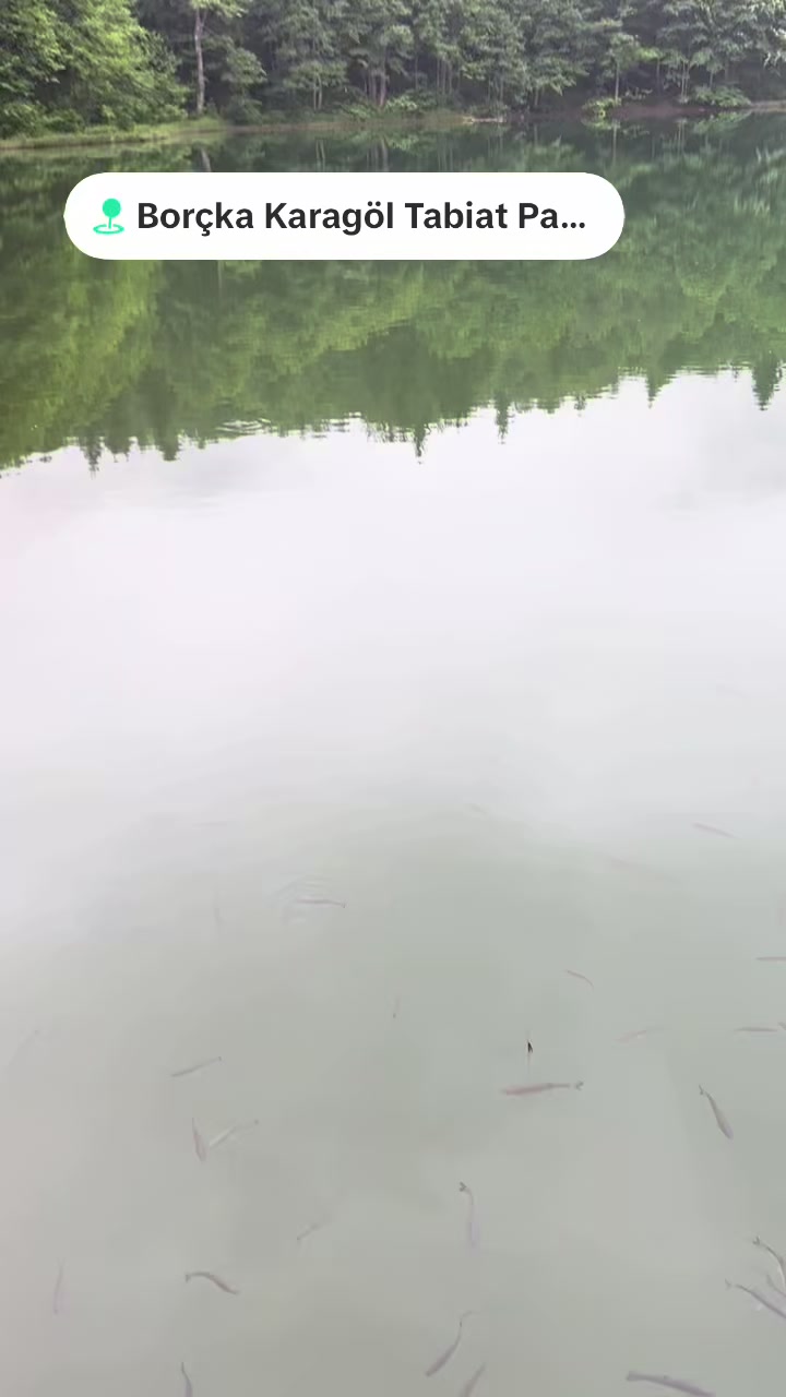 @Fırat