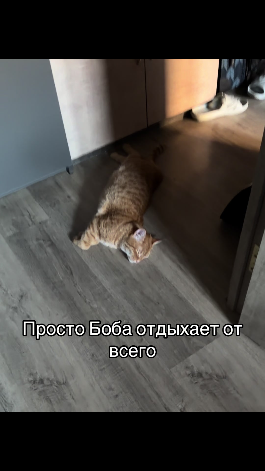 @кастрюля