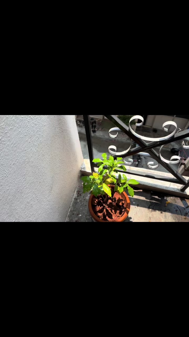 @Being__nayaka__