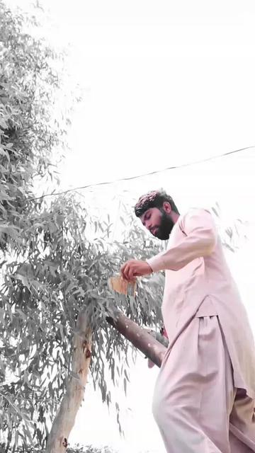 @bilawal7.0