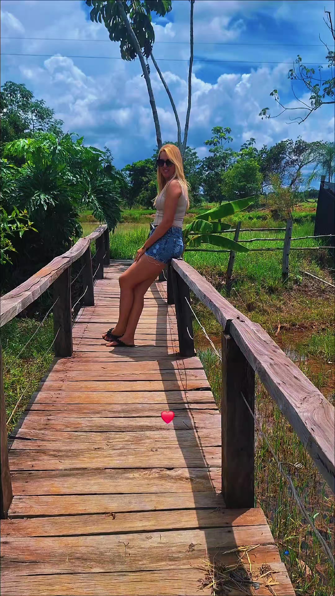 @Elisvania Alves Pereira