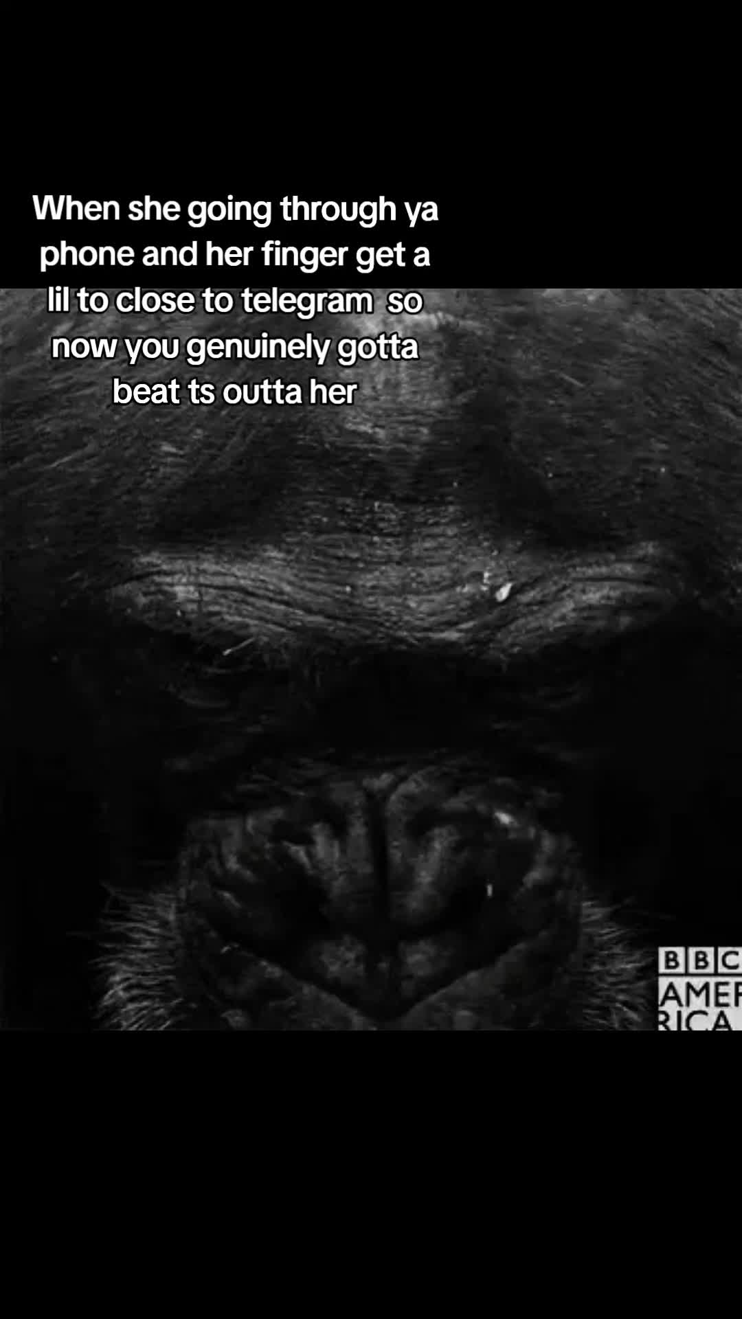 @5kdoggo