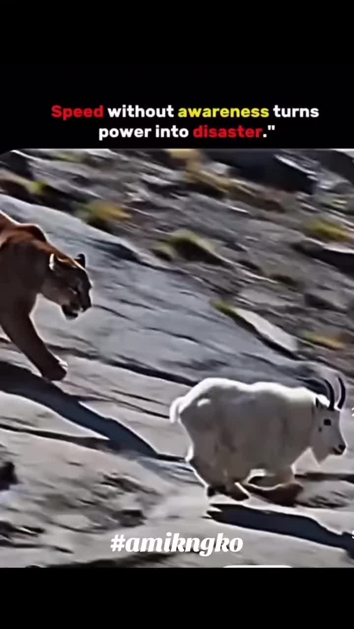 @Sham0z04