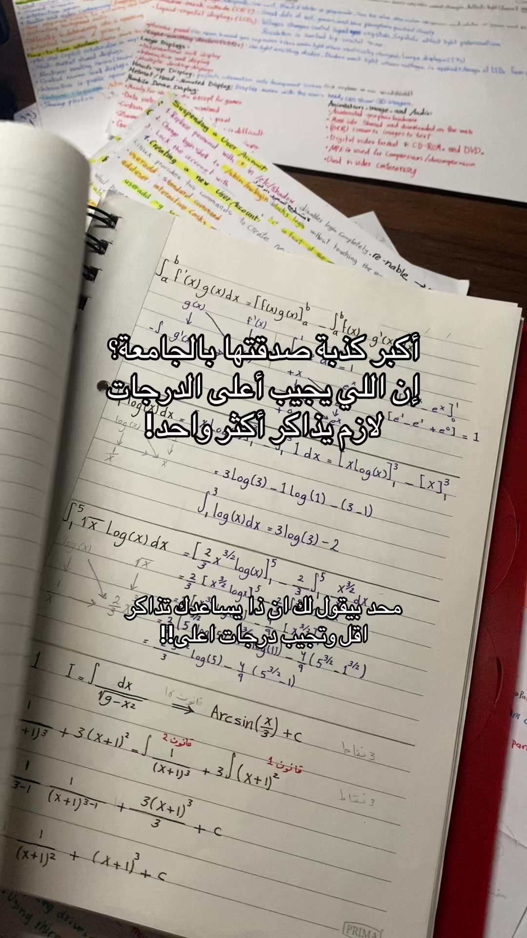 @Bites | بايتس 🪄