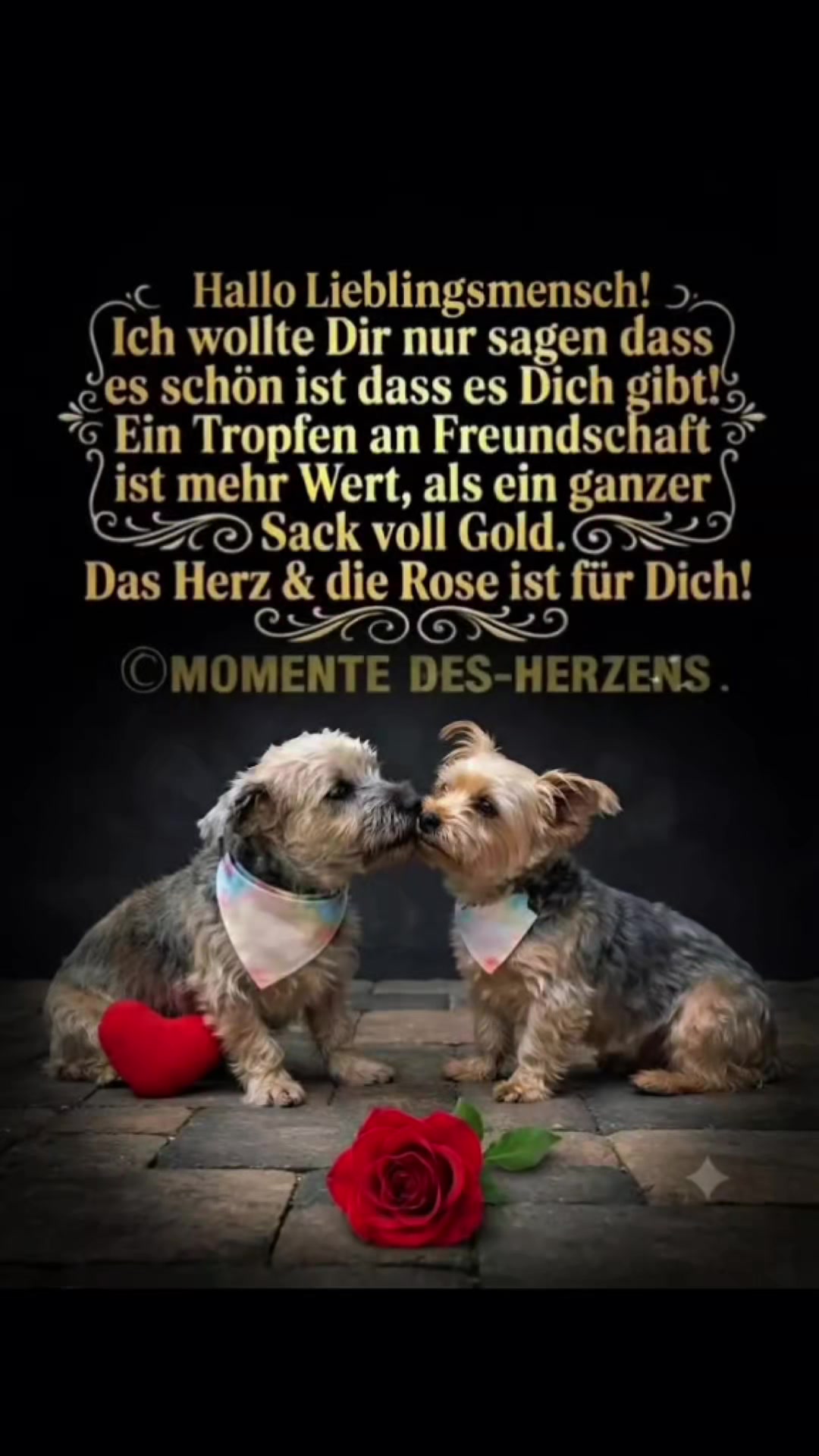@andreaevers
