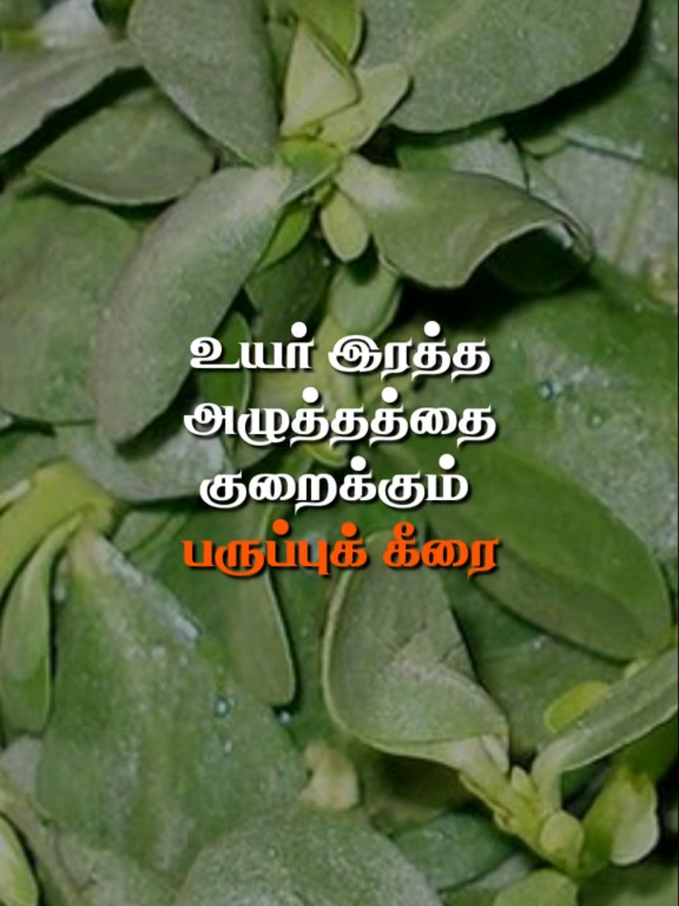 @𝓐𝓼33𝓶