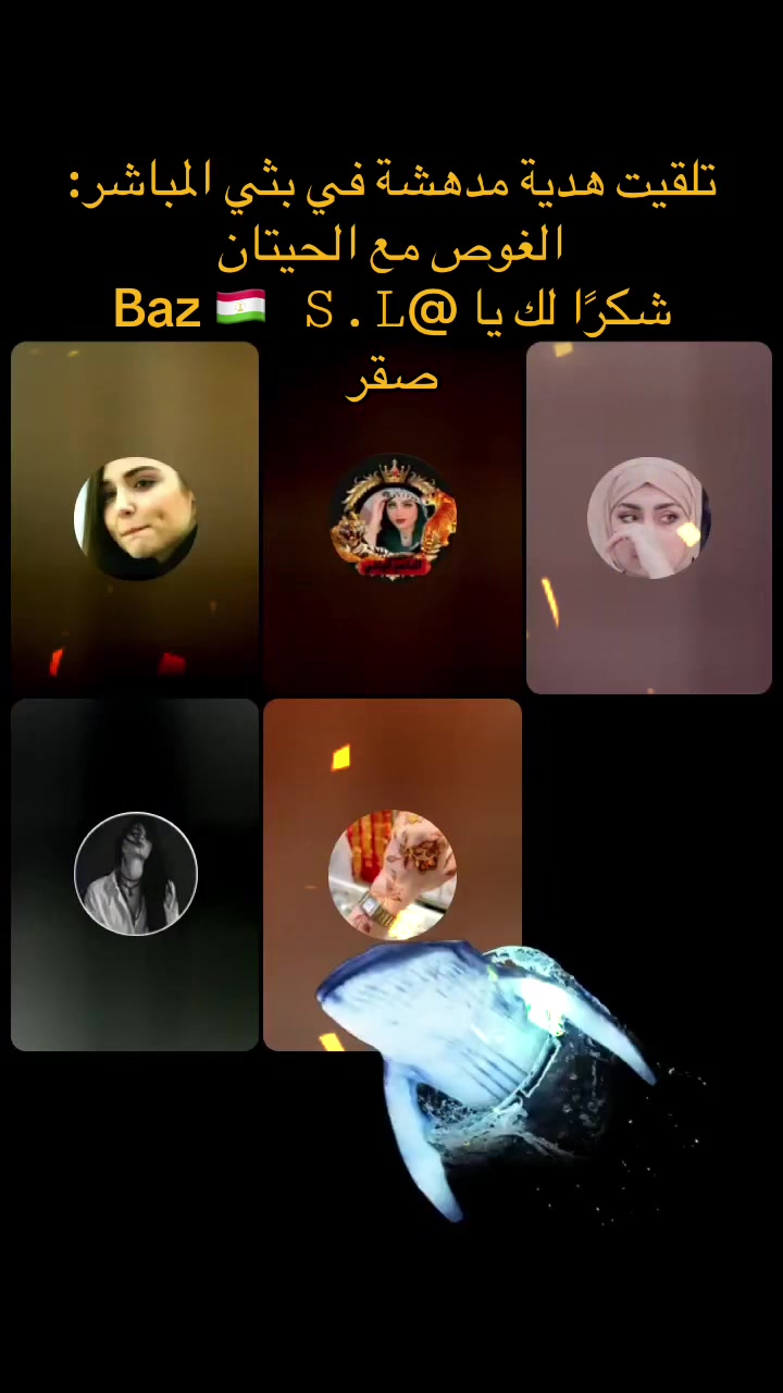 @🇹🇯مجهولة⇗🇩🇪