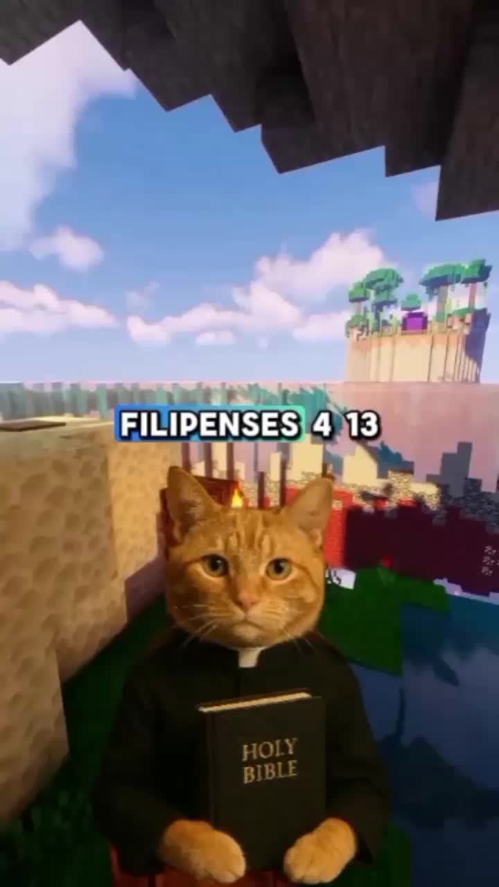 @Gatito Cristiano