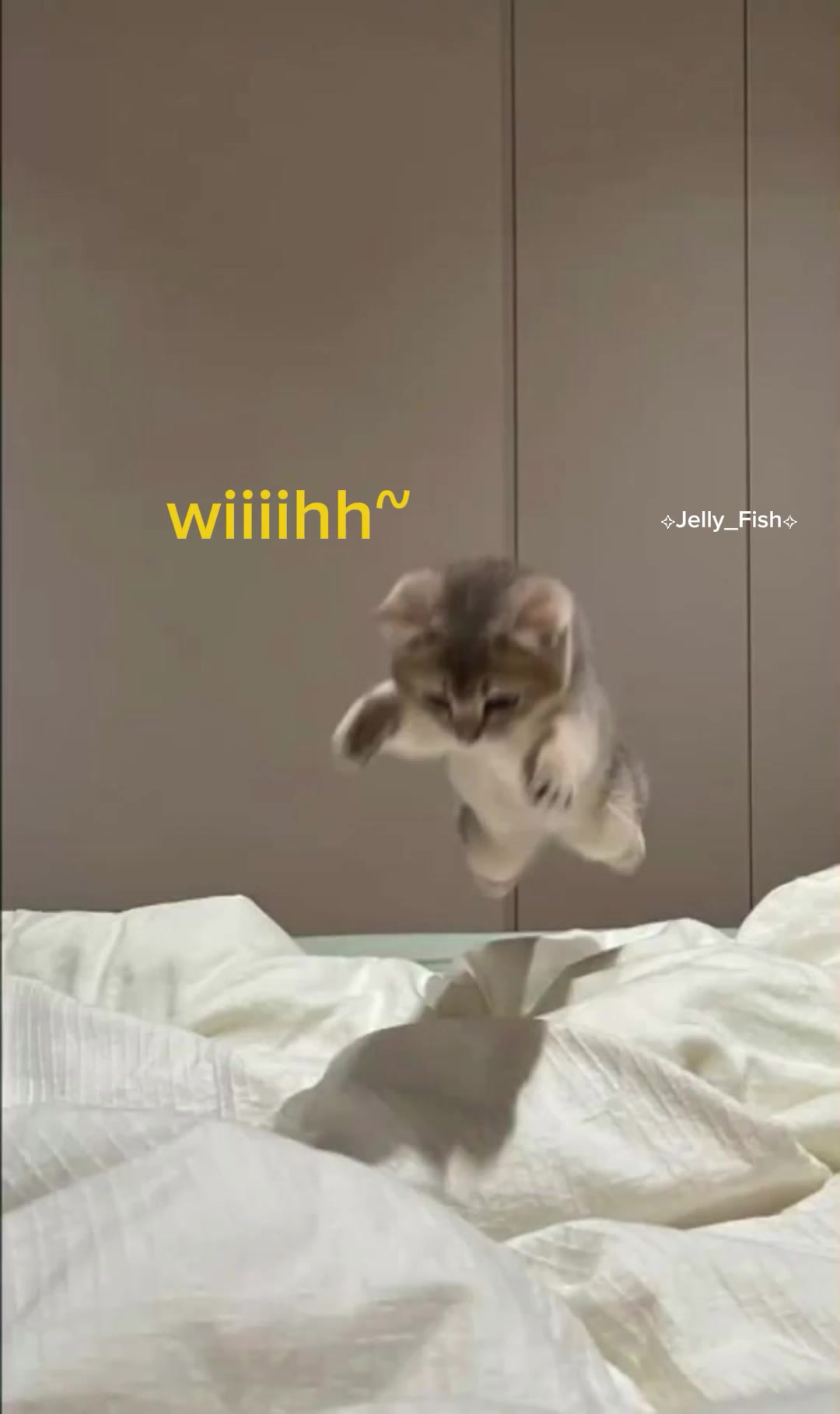 @v0id_&sect;h&aelig;d0w