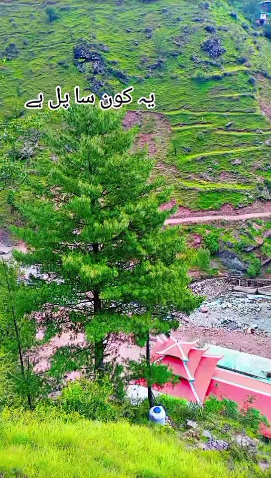 @انجان لڑکی