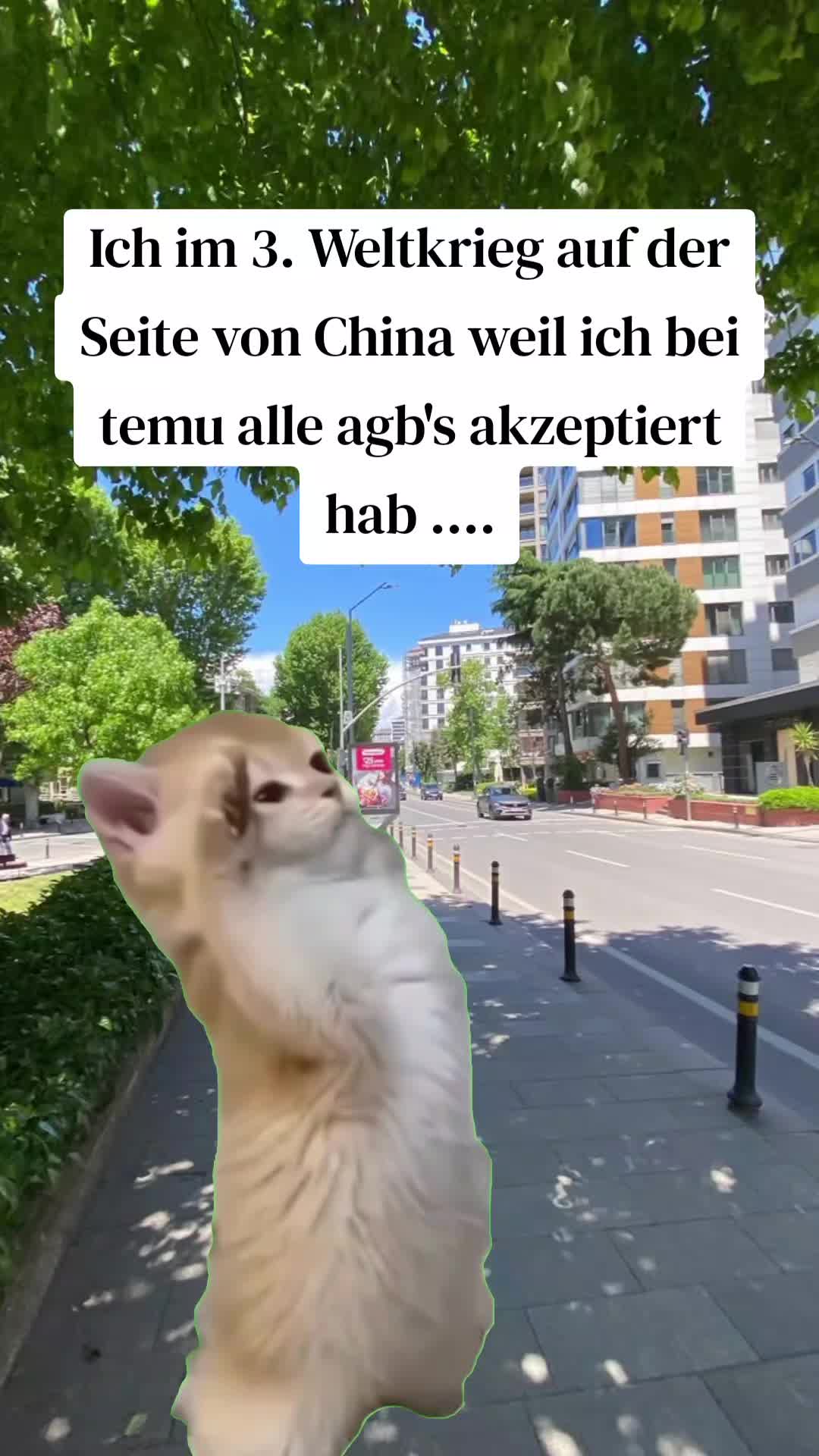 @Meme_Zentrale_
