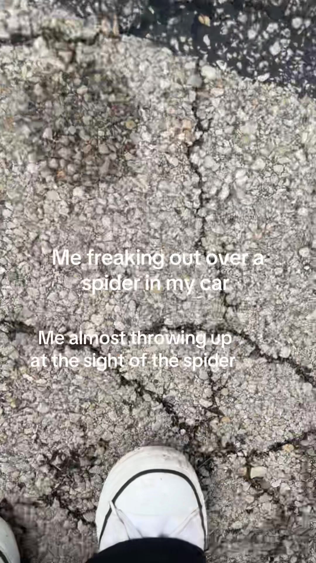 @Rando
