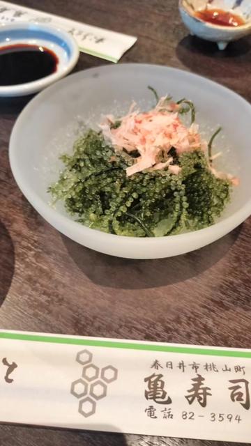 @宇宙人のzizi