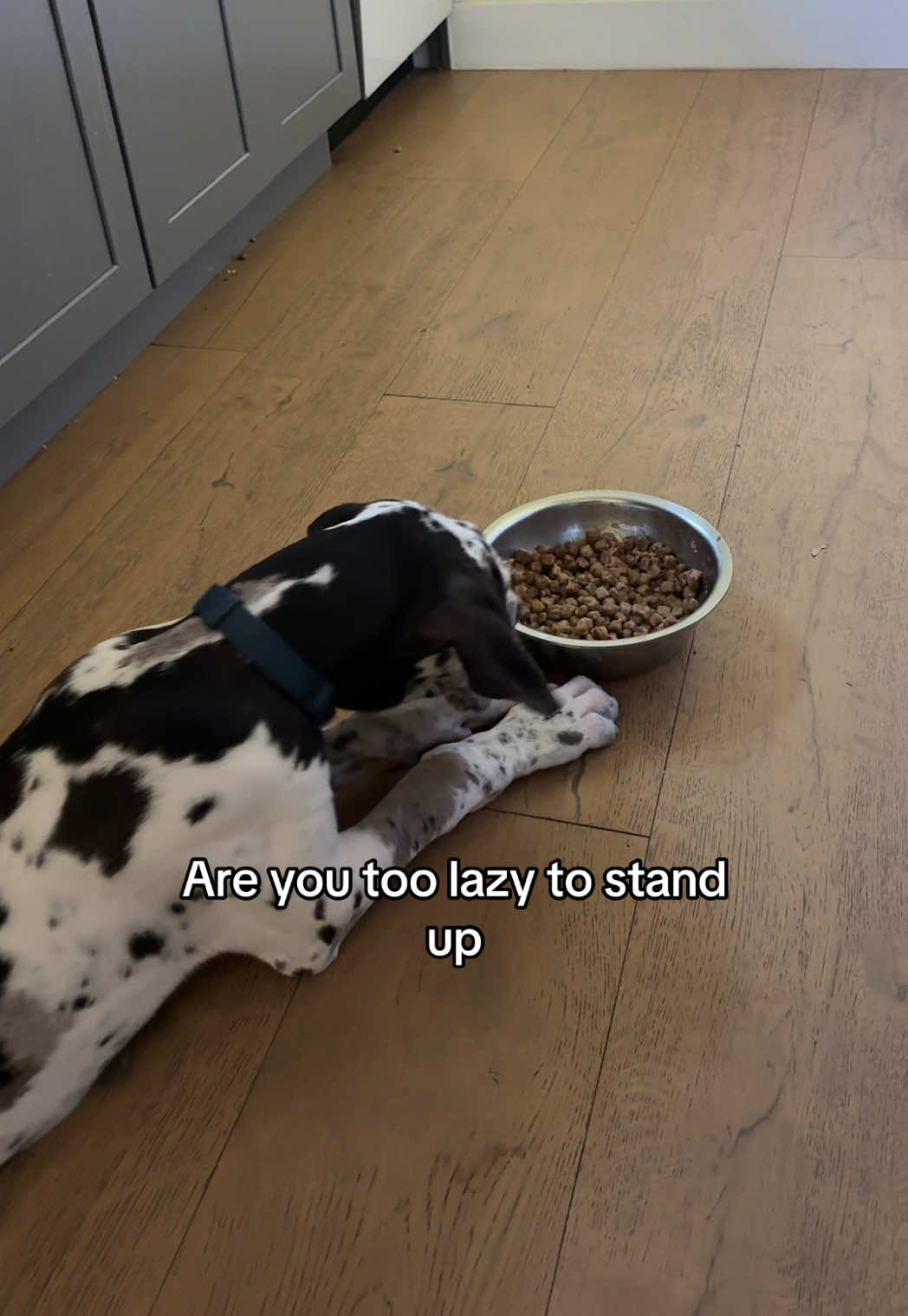 @Milo + Mo