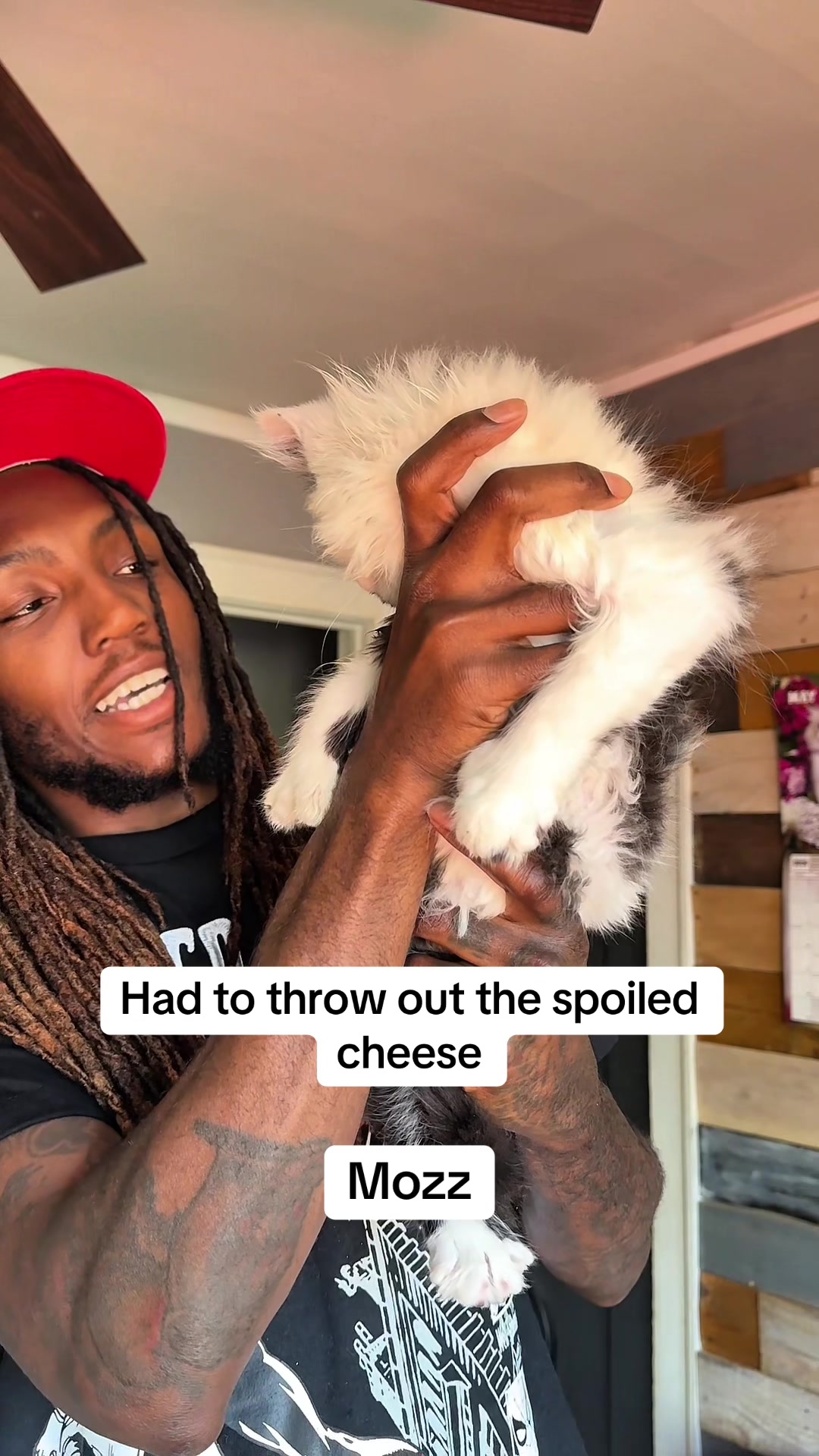 @Tycoon_Mainecoons