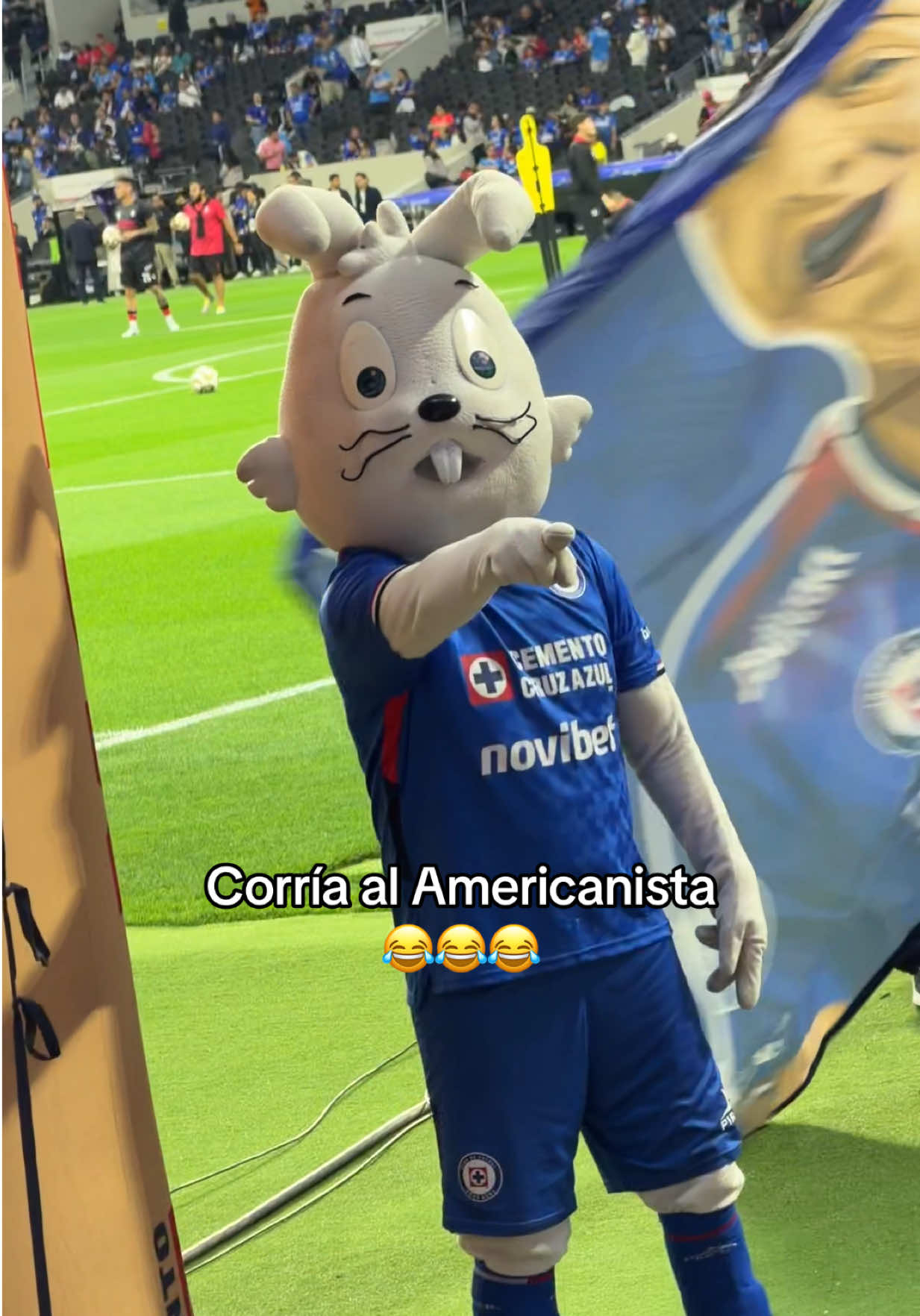 @Mariana Mérida