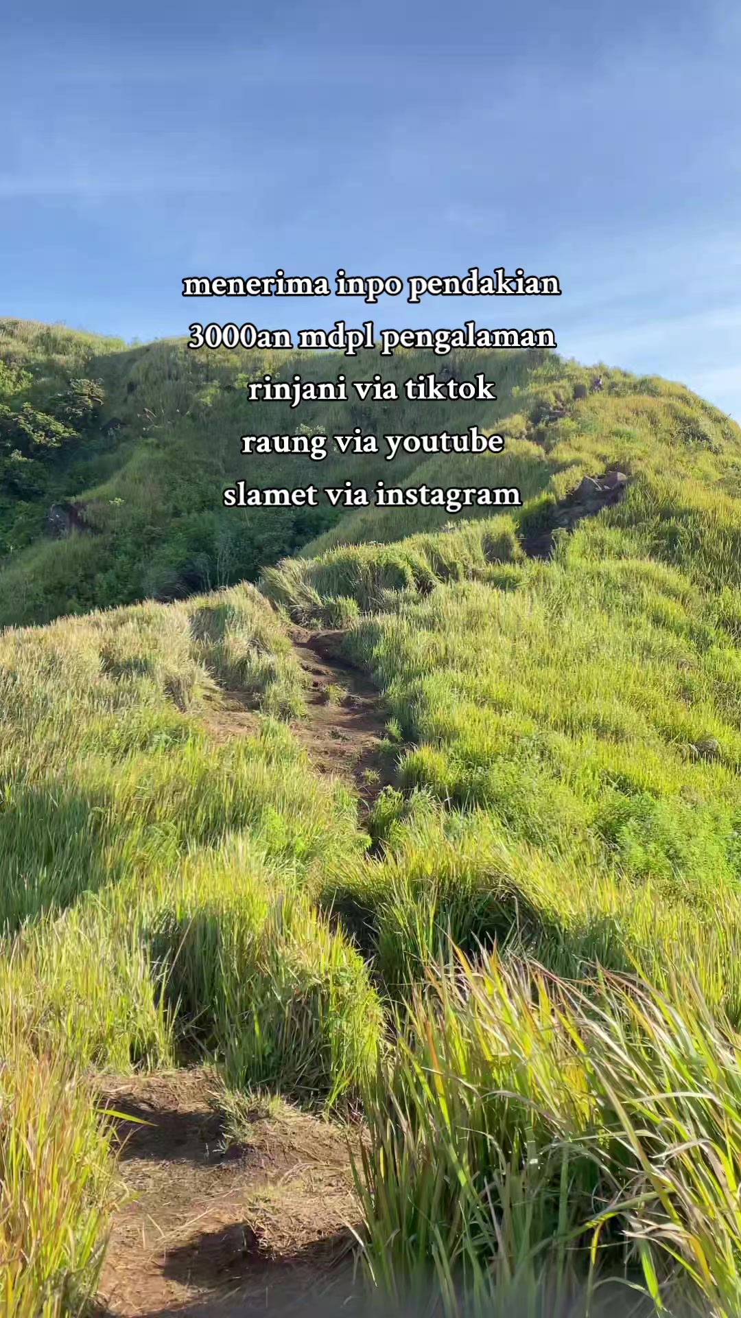 @matchadepankuu