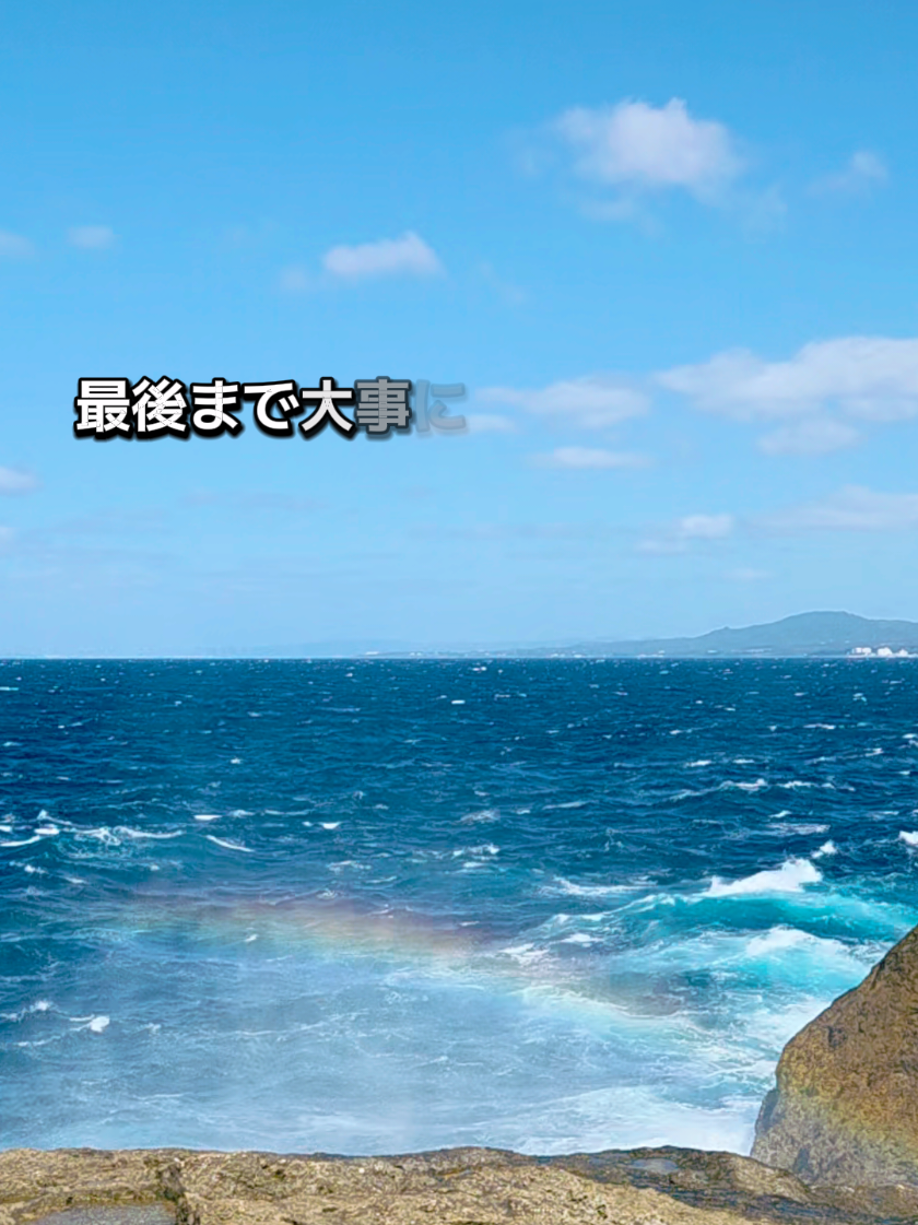 @ヴィッキーグルメ