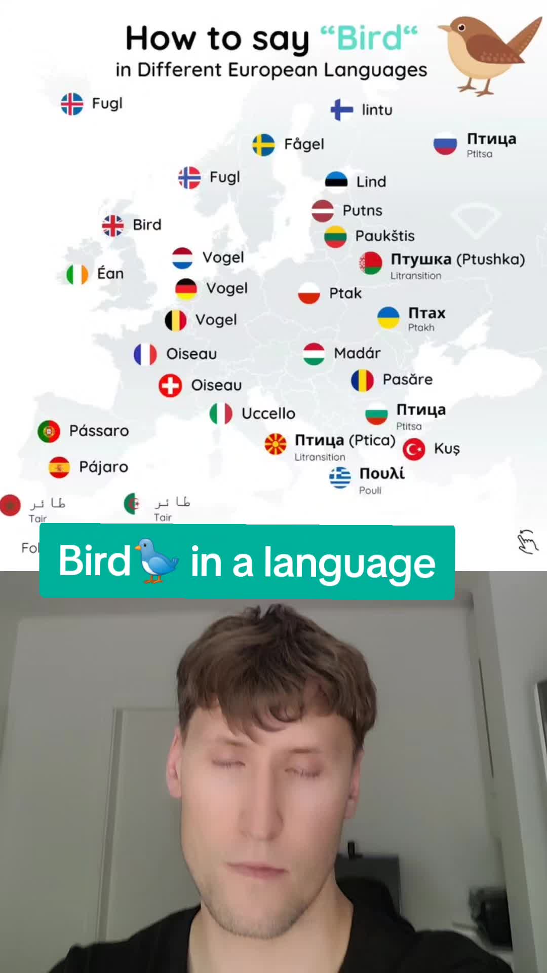 @Andreas Bro!!!🇵🇱
