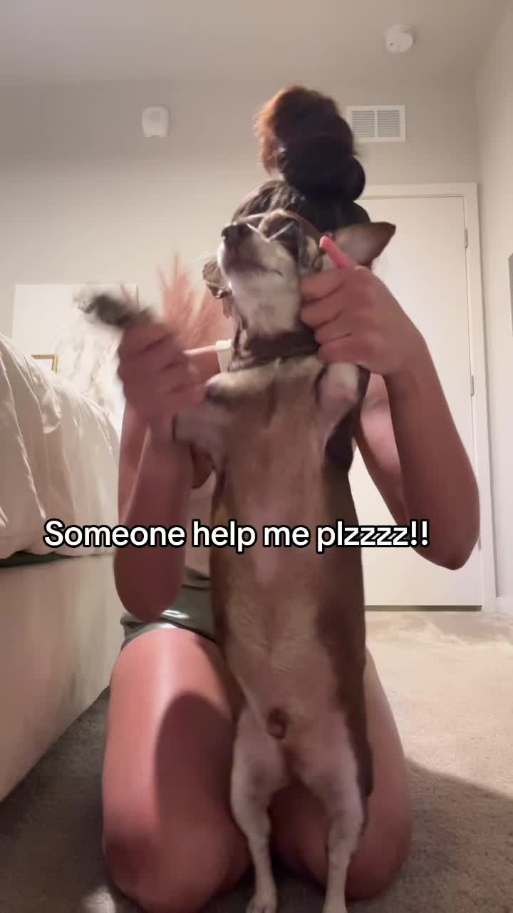 @Bruno28