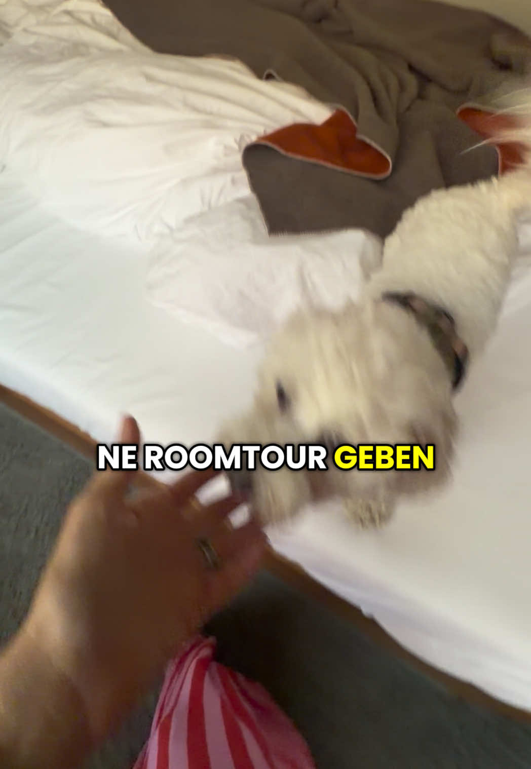 @läuftbeimir