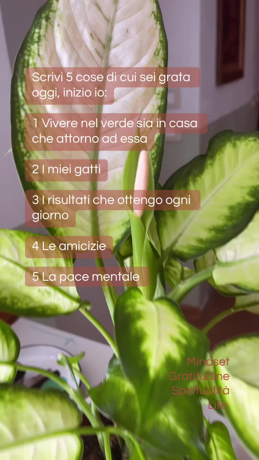@Francesca Mamone
