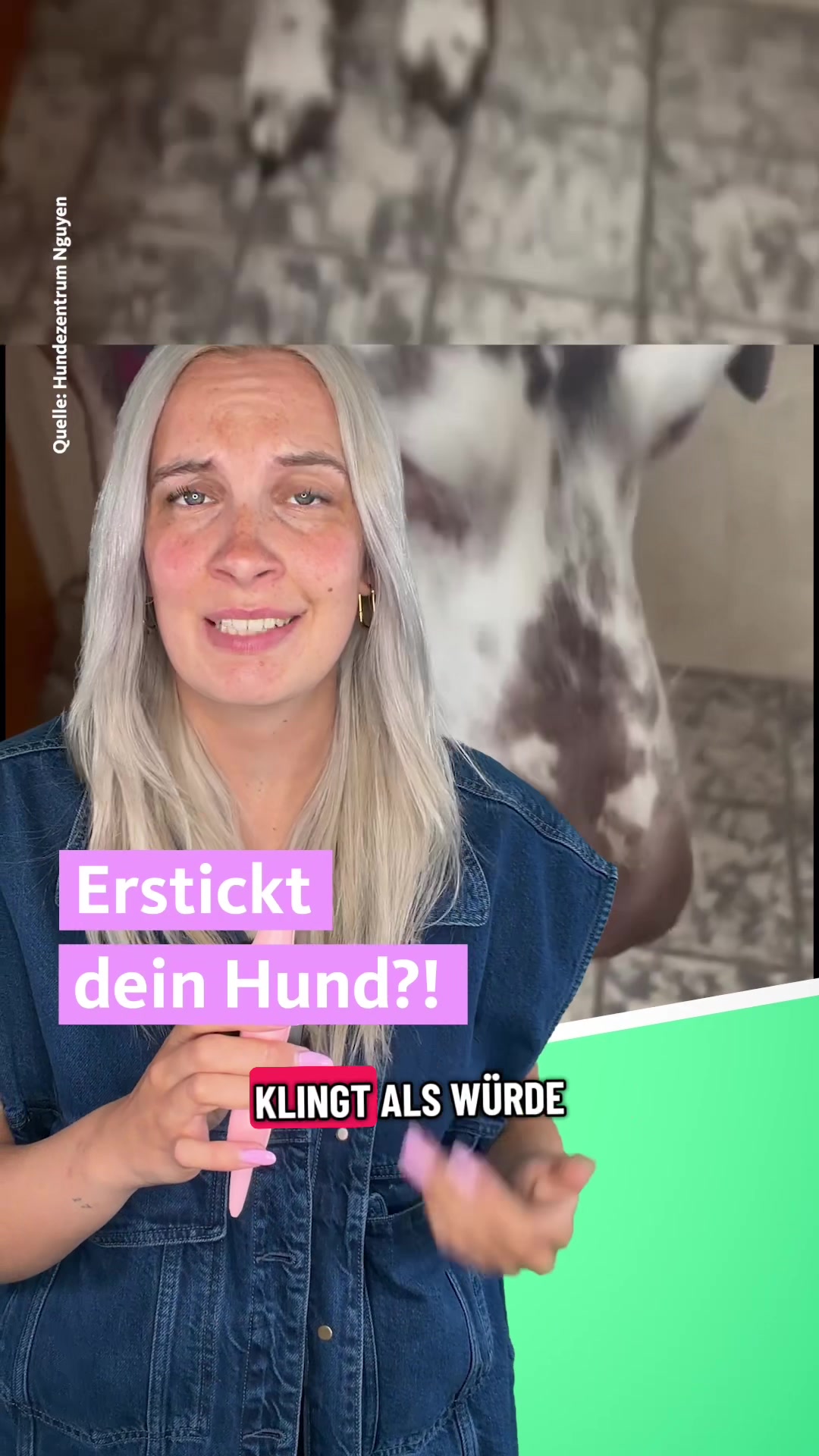 @Tiere suchen ein Zuhause