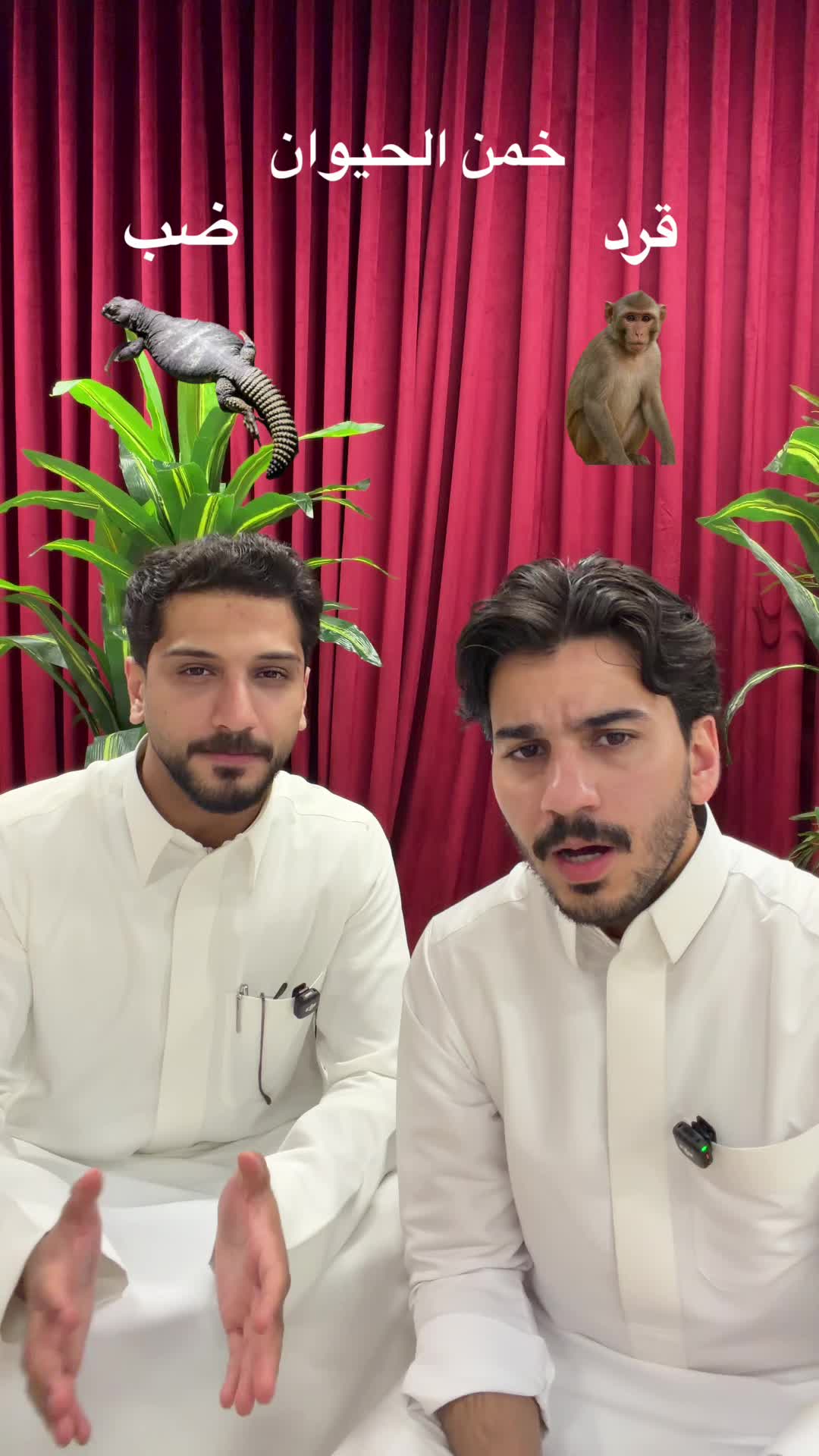 @Elias Setta الياس السته