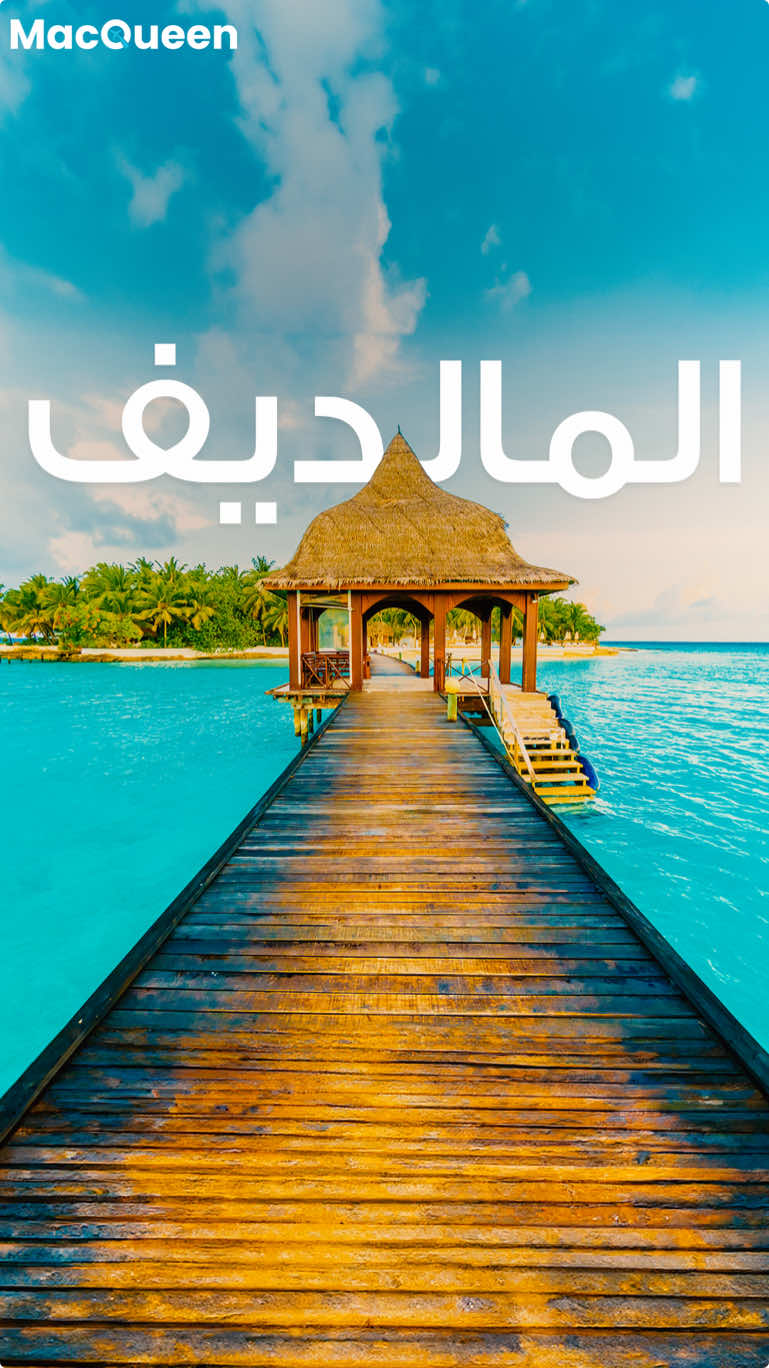 @MacQueen Travel
