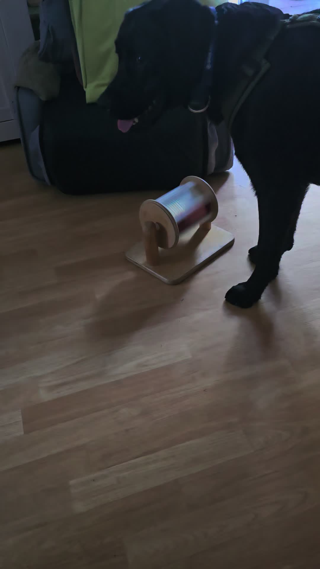 @AntonderBollerkopp