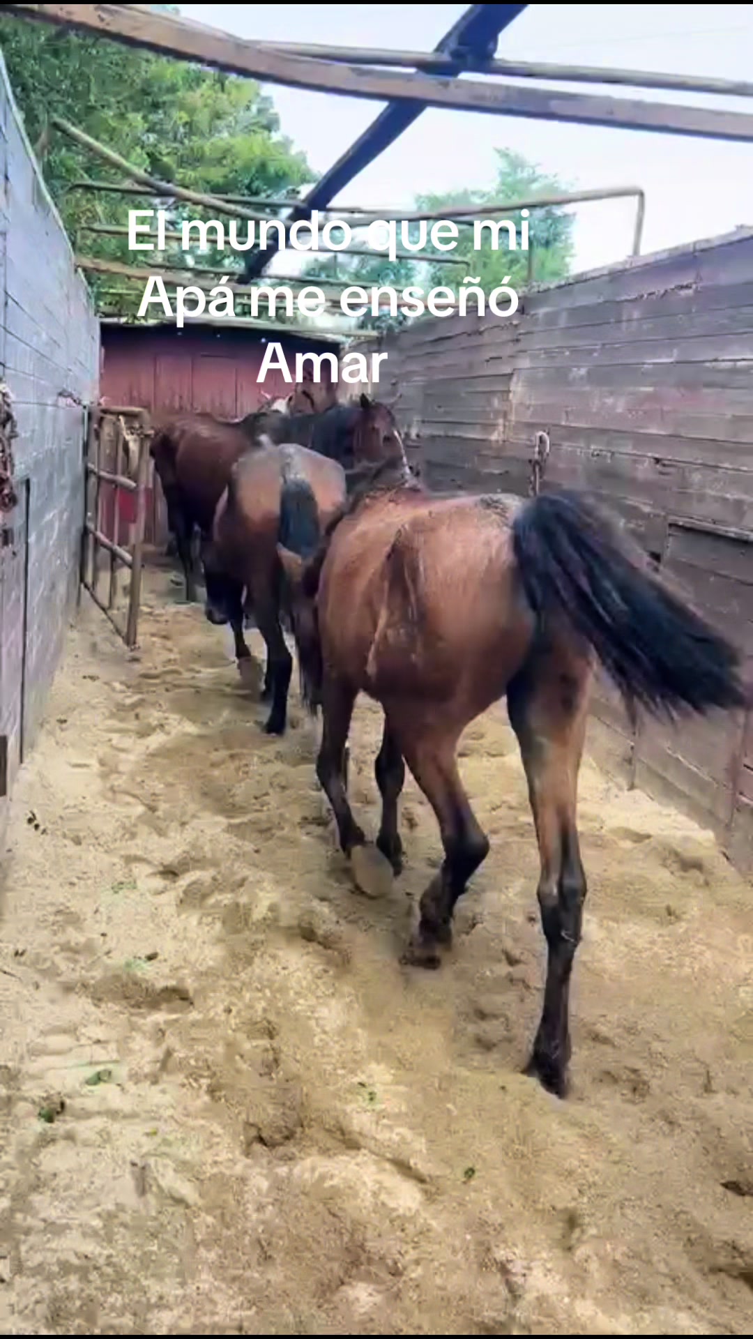 @Alfredo roma @ 90