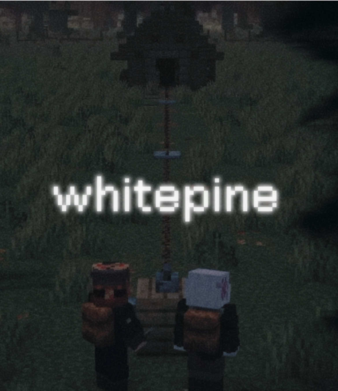 @! ! !