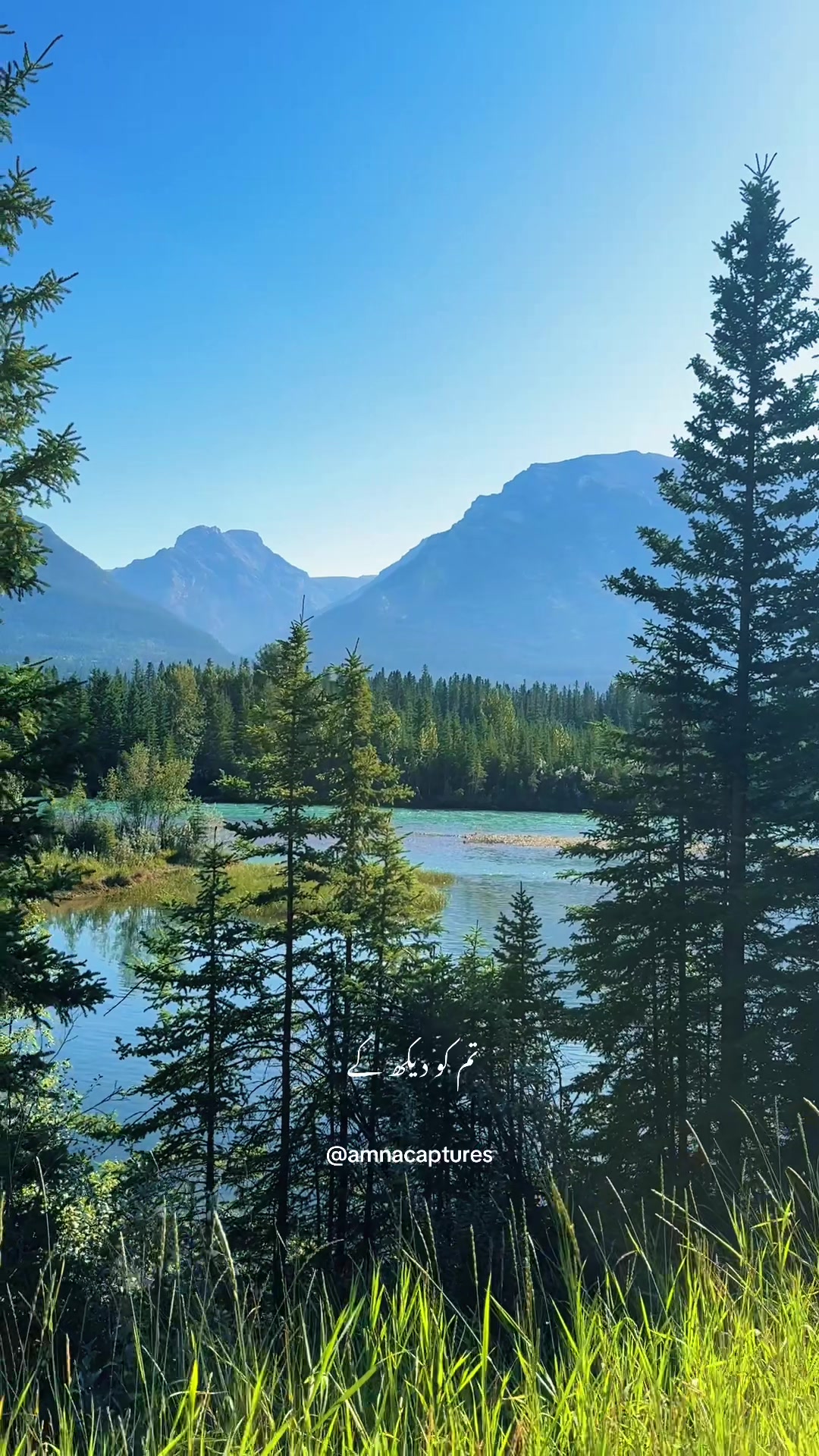 @Nature lover 🇨🇦