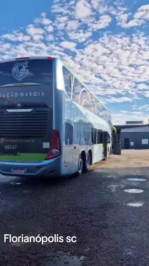 @Denise malikoski busológa sc