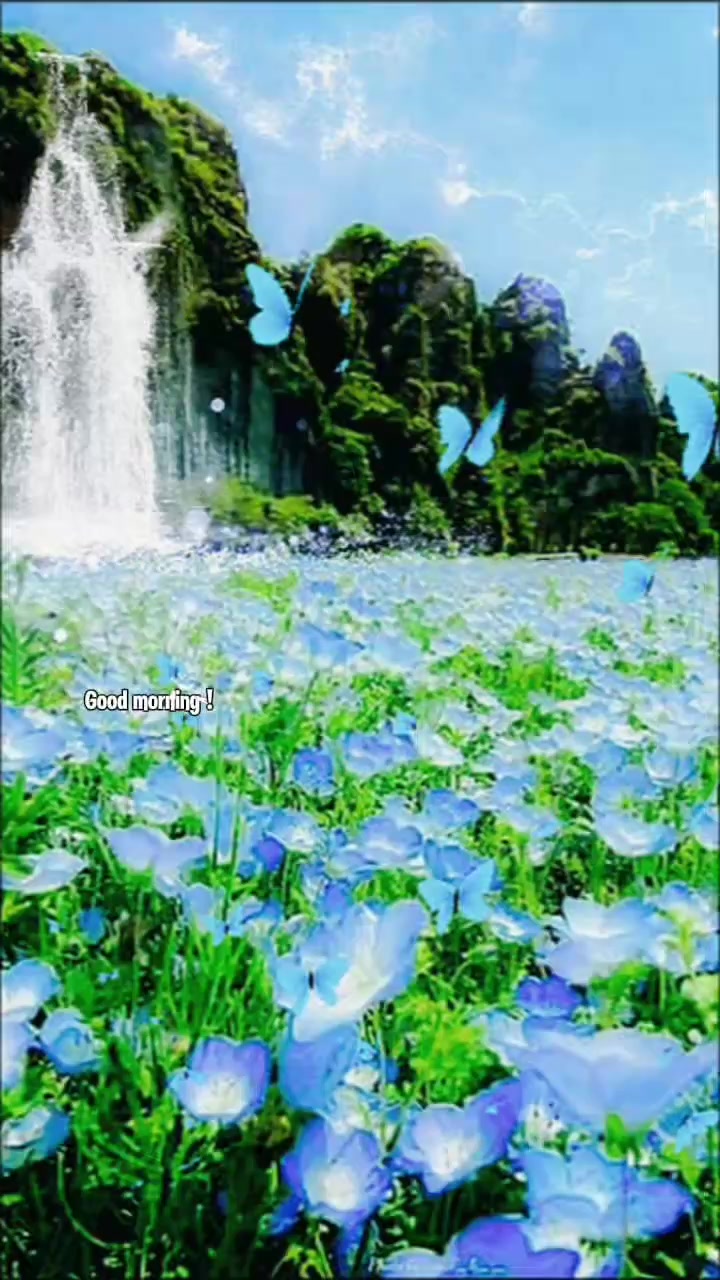 @reallerin451
