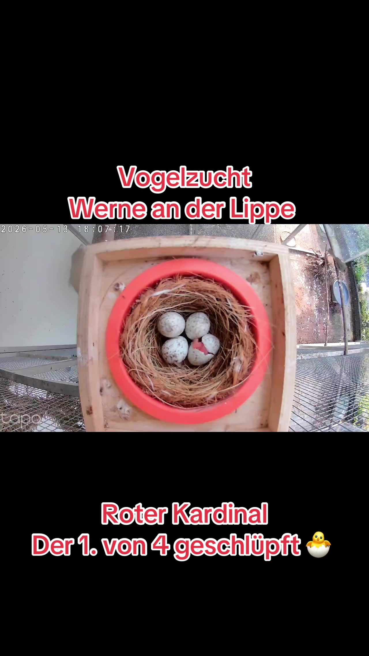 @Vogelzucht Werne an der Lippe