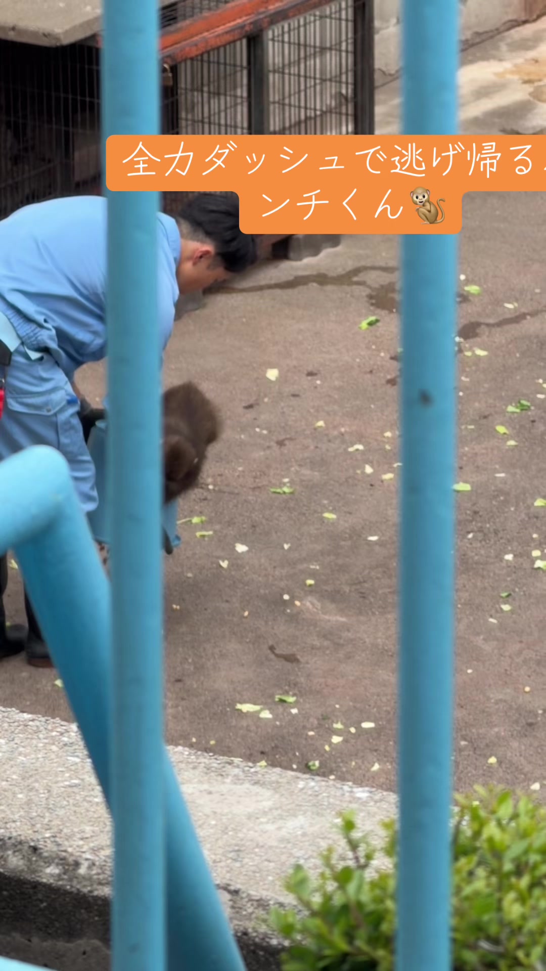 @パンチ
