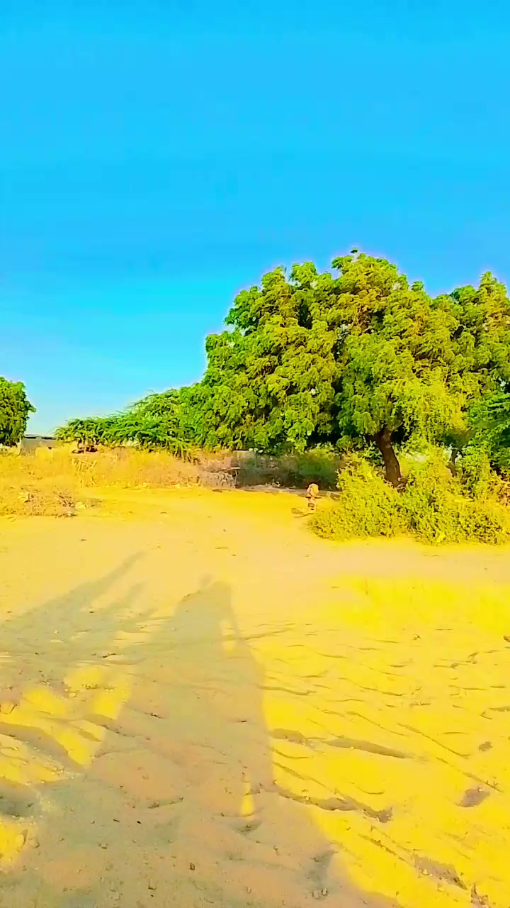 @فوزیا۔  ۔۔۔۔۔۔سومرو۔۔