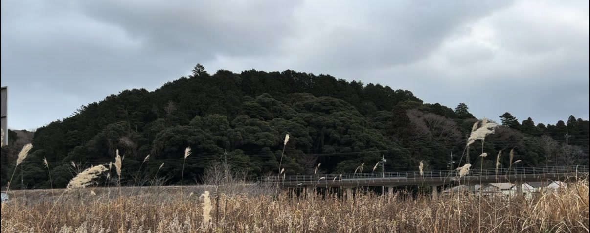 @カービィ(⊂'ᢦ')
