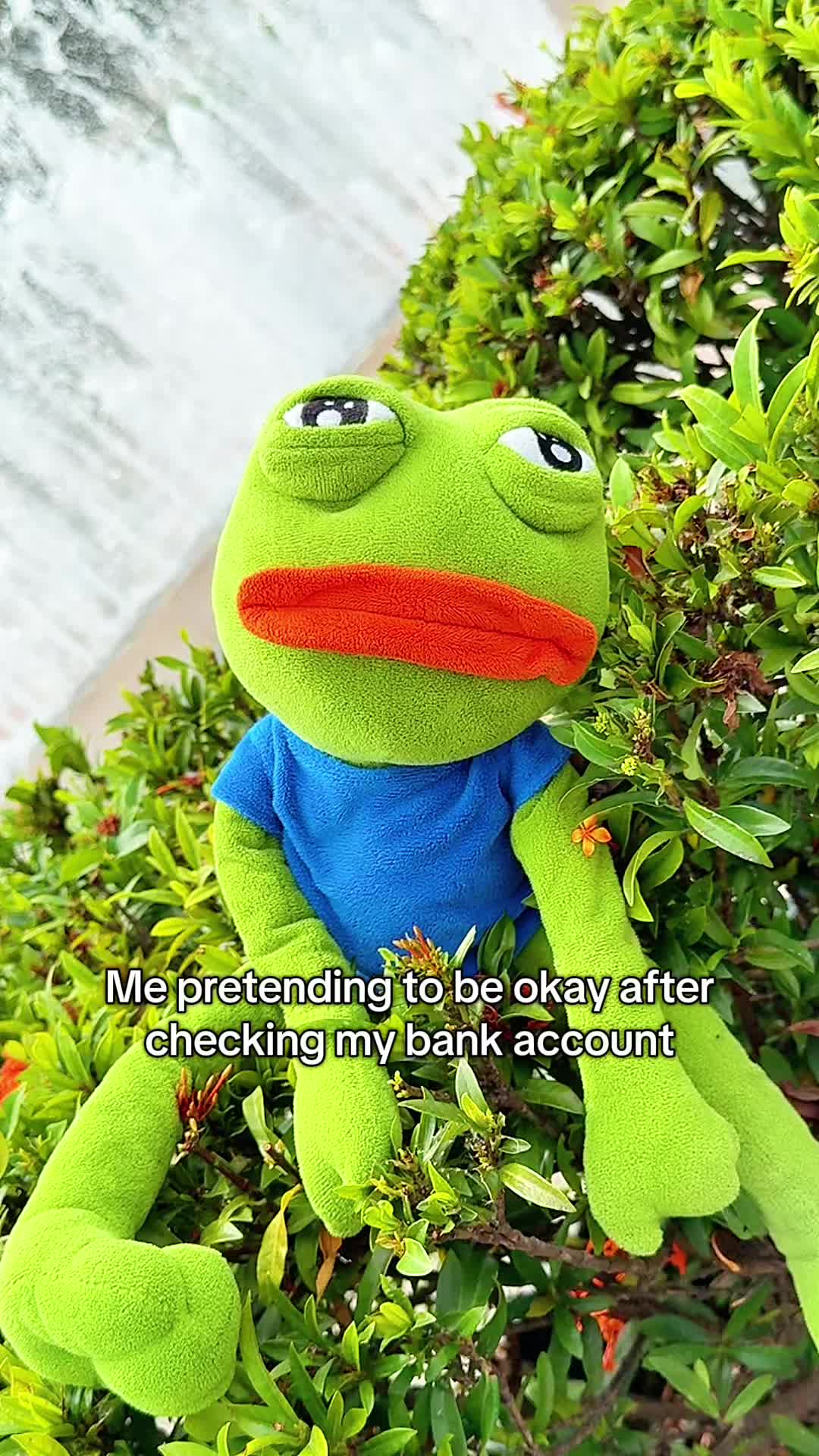 @AdoptAPepe