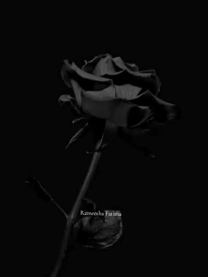@Rameesha Fatima